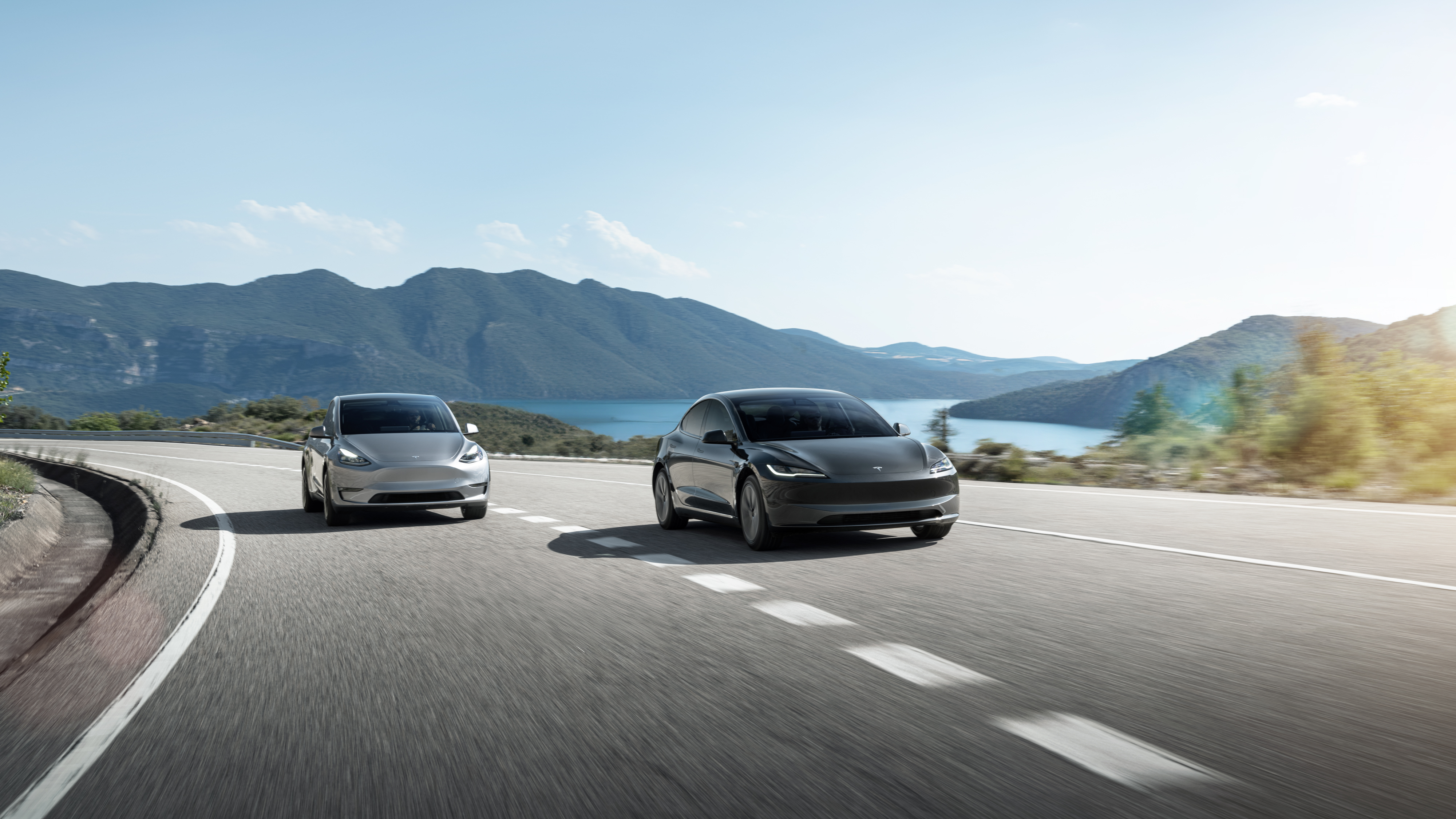 Tesla Model 3 and Model Y group image